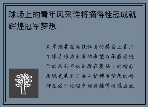 球场上的青年风采谁将摘得桂冠成就辉煌冠军梦想